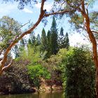 Nouméa - Parc zoologique et forestier 42 – Vue sur un des lacs