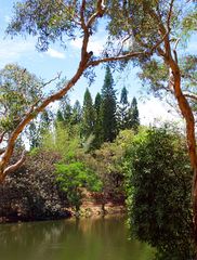 Nouméa - Parc zoologique et forestier 42 – Vue sur un des lacs