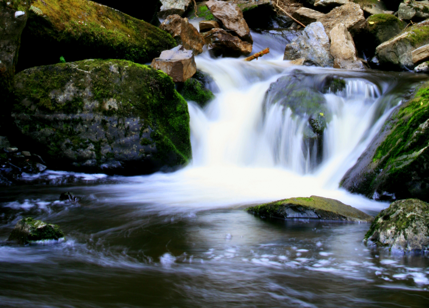 Nourishing Stream