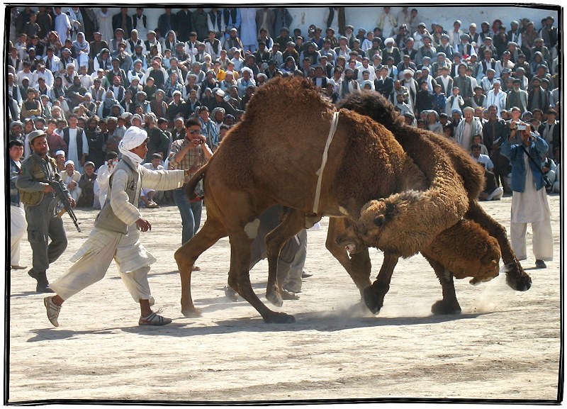 Nouruz mubarak...