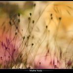 •Nouveau départ•