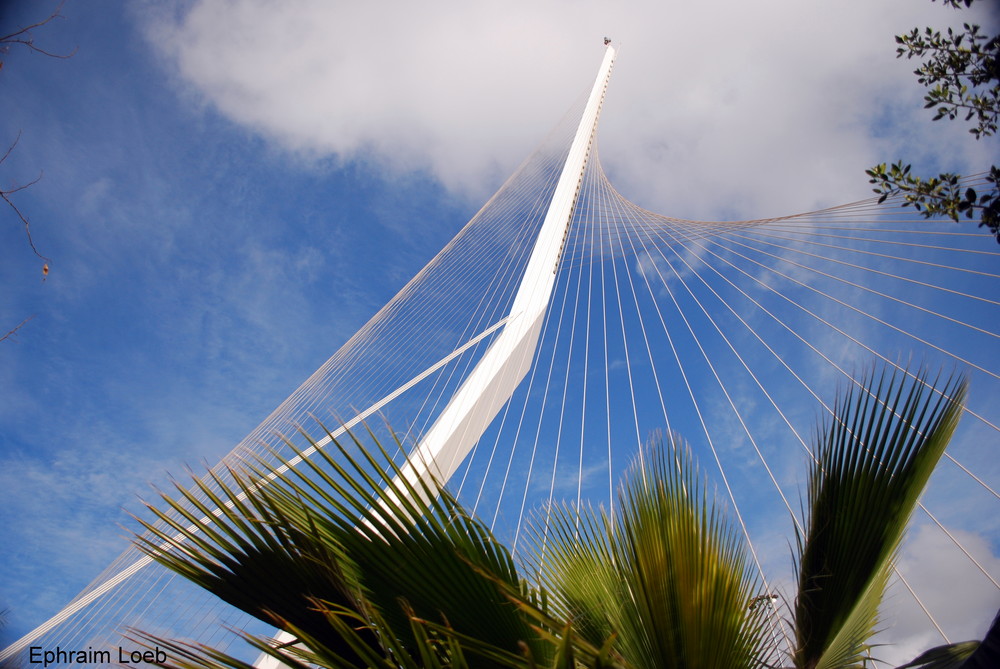 Nouveau pont suspendu de Jerusalem