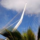 Nouveau pont suspendu de Jerusalem