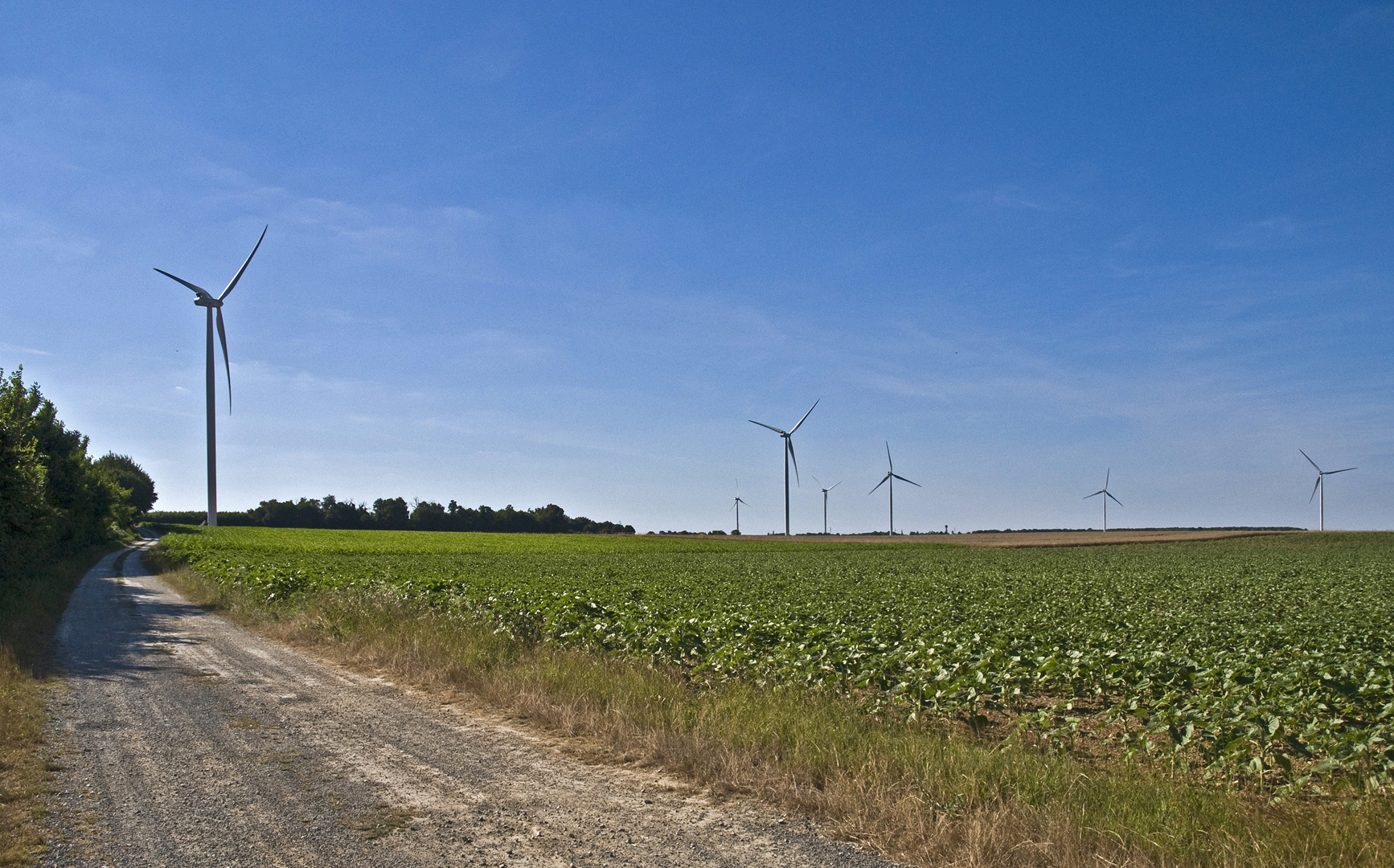 Nouveaux paysages agricoéoliens dans le sud de la Vienne