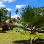 Nouvelle-Calédonie - Jardins de l'Hôtel Tiéti à Poindimié (Côte Est)