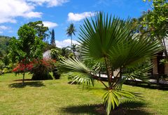 Nouvelle-Calédonie - Jardins de l'Hôtel Tiéti à Poindimié (Côte Est)