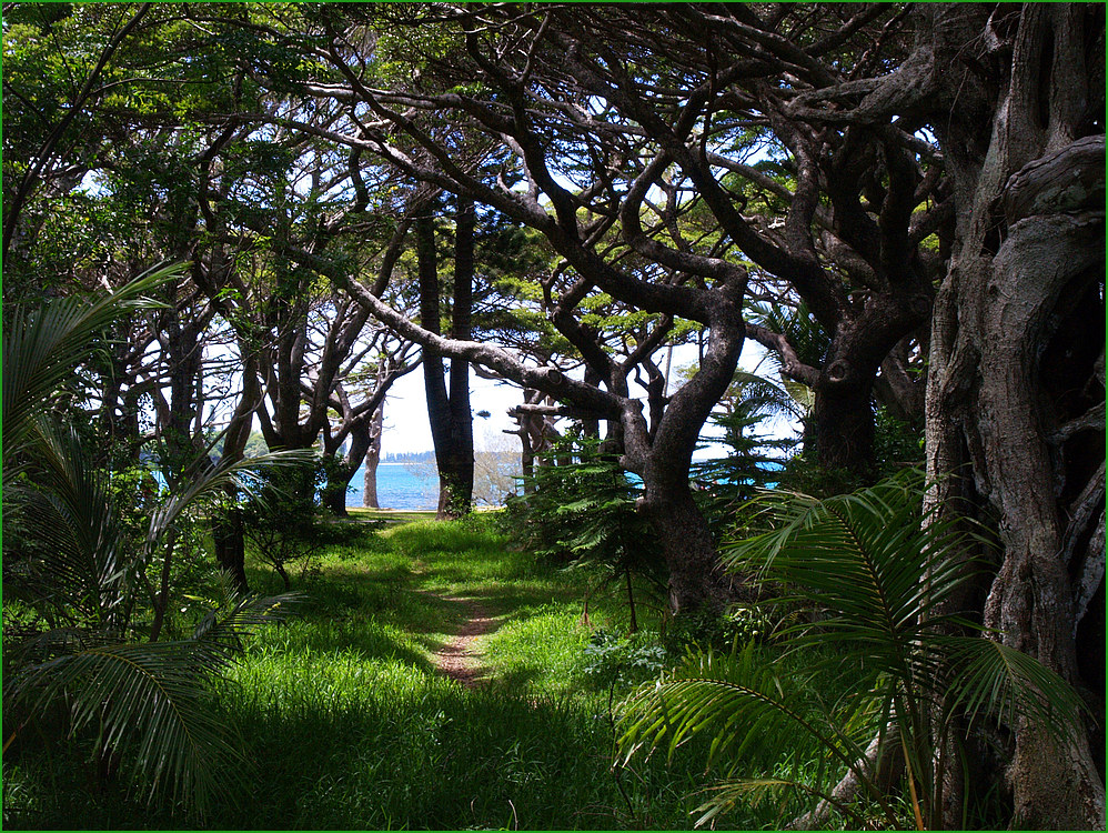Nouvelle-Calédonie - L'Île des Pins - Neukaledonien - Die Piniensinsel