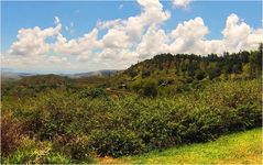 Nouvelle-Calédonie - Paysage de la Chaîne Centrale -- Neukaledonien - Landschaft im Zentralgebirge