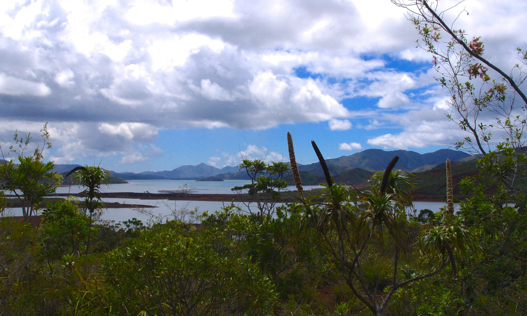 Nouvelle-Calédonie - Paysage du parc de la Rivière Bleue