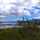 Nouvelle-Calédonie - Paysage du parc de la Rivière Bleue