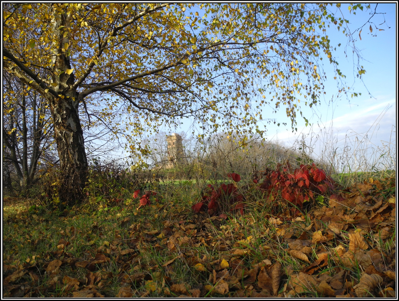 Nov.-märchen ...