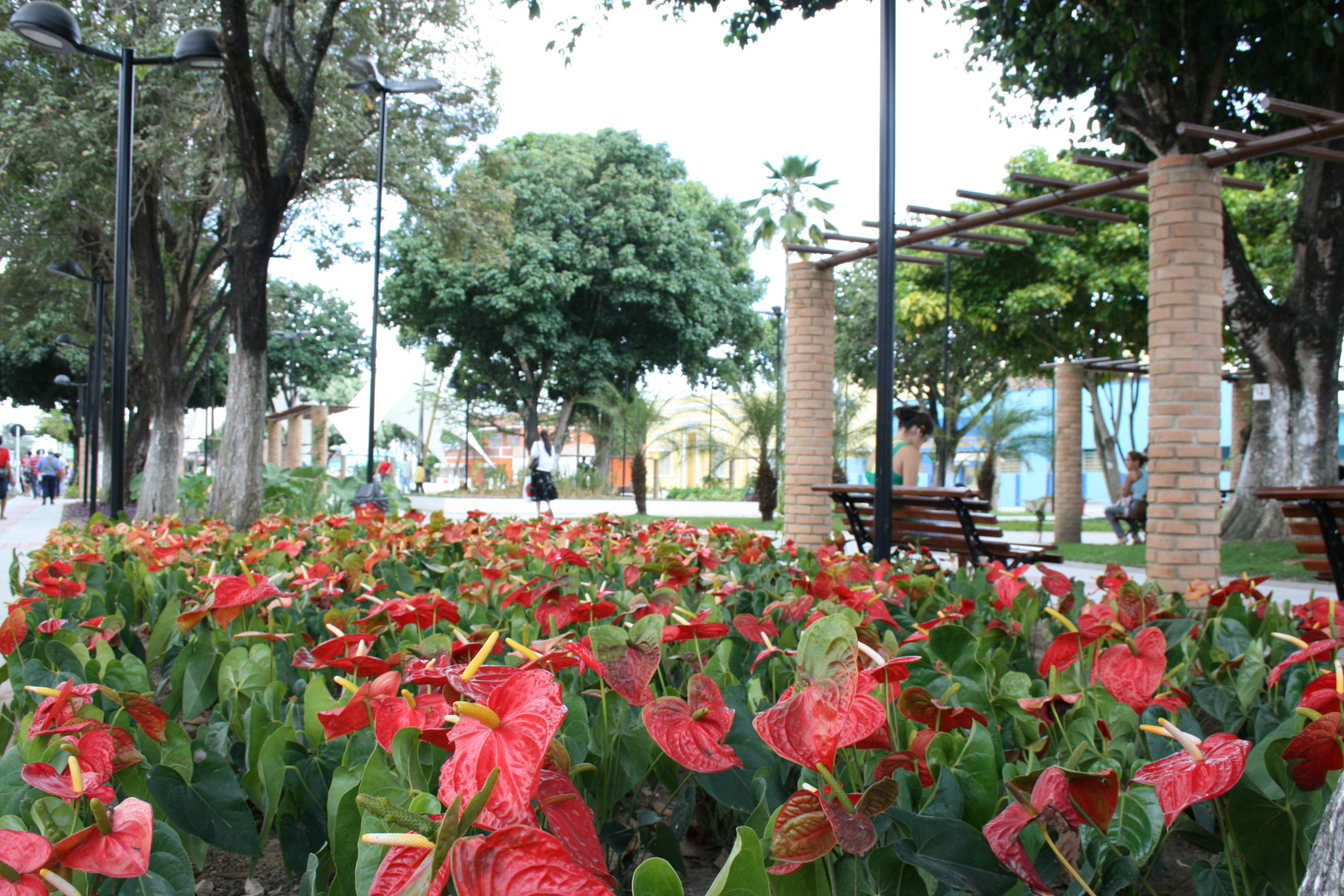 Nova praça em Arapiraca-AL (NOV/2010)