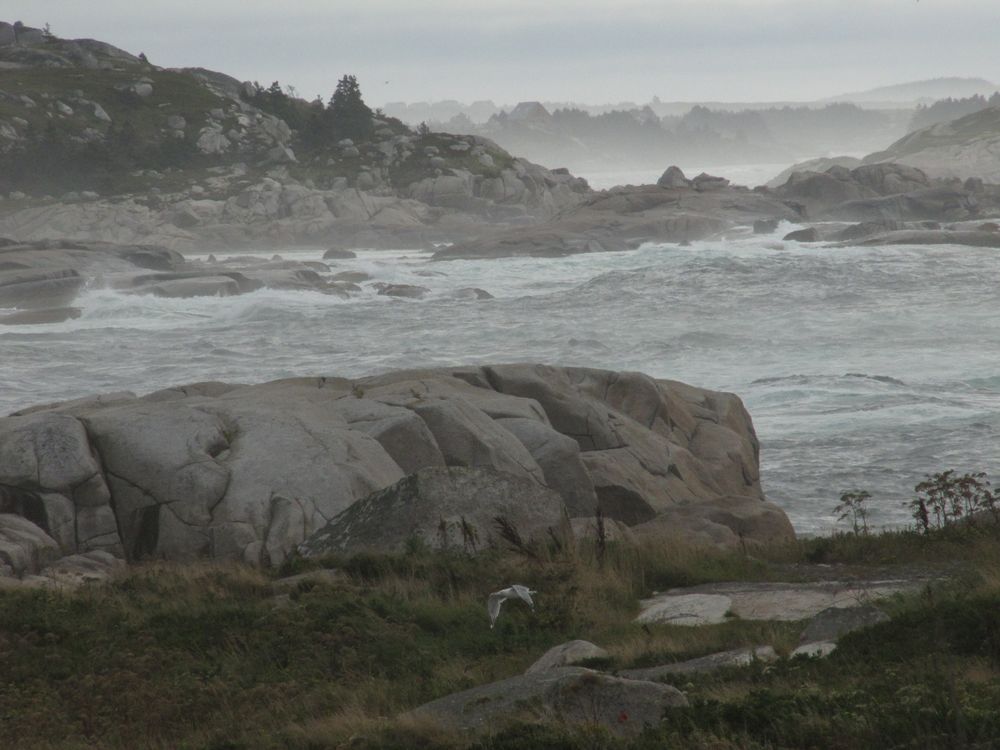 Nova Scotia von Ingrid Atteln 