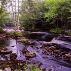 Nova Scotia