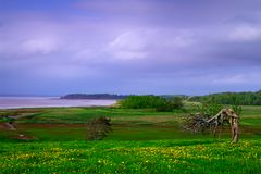 Nova Scotia - Minas Basin - Bay of Fundy