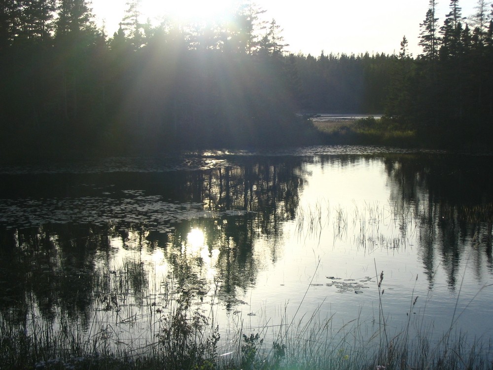 Nova Scotia - there's water everywhere!