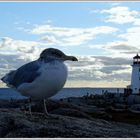  ...Nova Scotia...Peggy's Cove...Lighthouse...