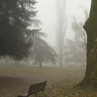 Novara nella nebbia