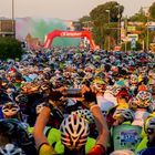 Novecolli 2016