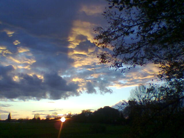 November 2005 / Rheinwiesen in Kaiserswerth