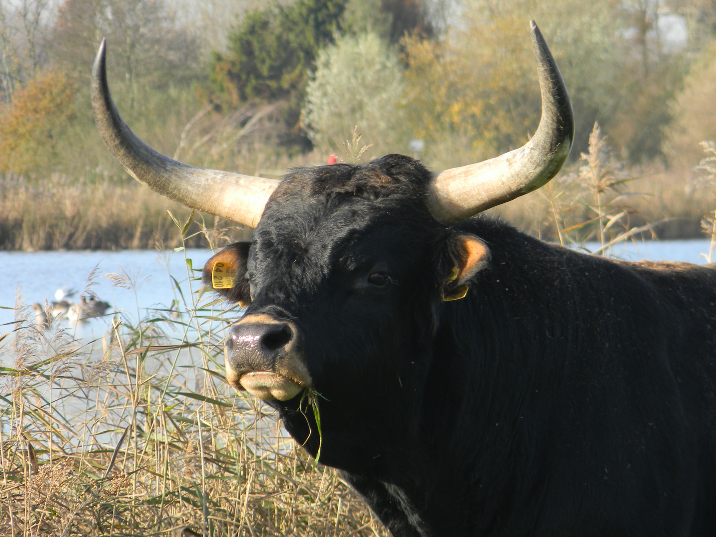 November 2014 in den Rieselfeldern