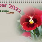 November 2022 Kalenderblatt