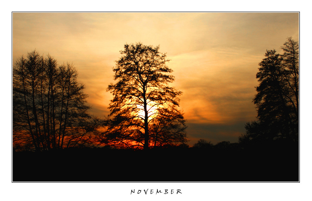 November