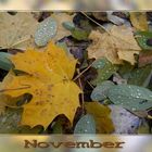 - November -