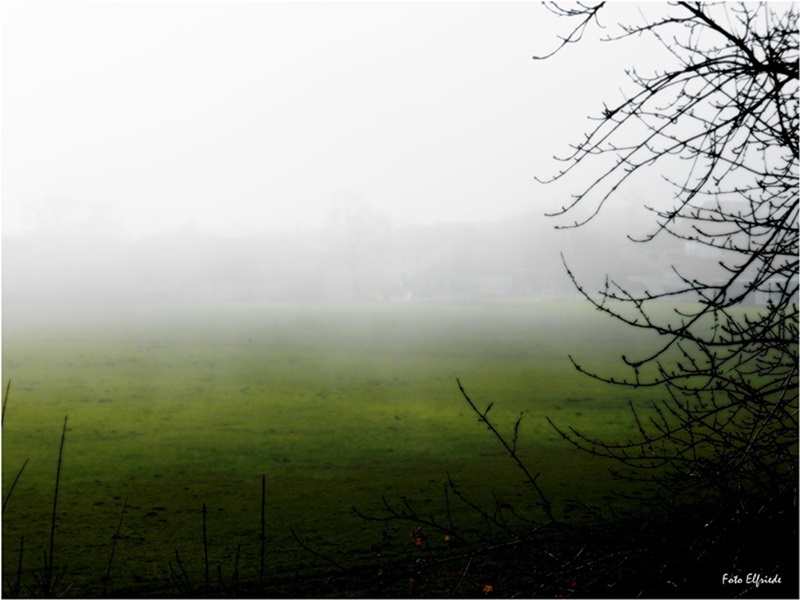 November
