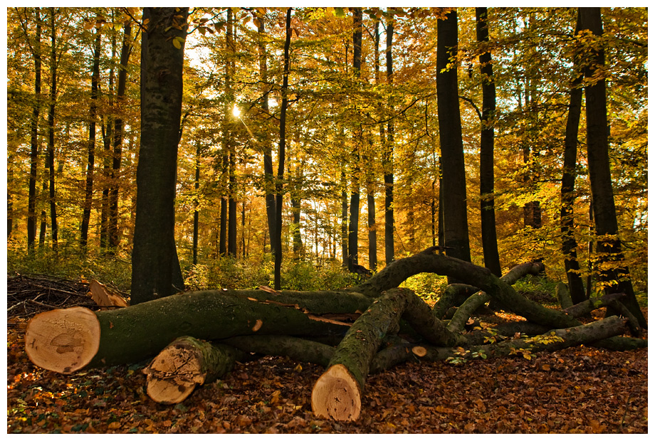 November
