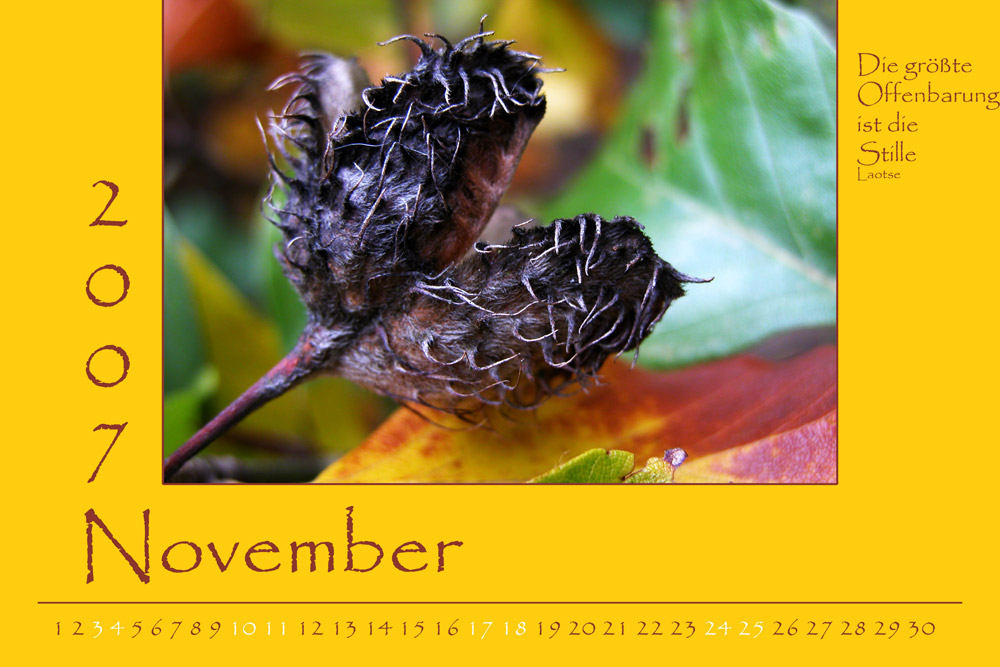 November