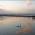 November-Abend am Zierker See in Neustrelitz