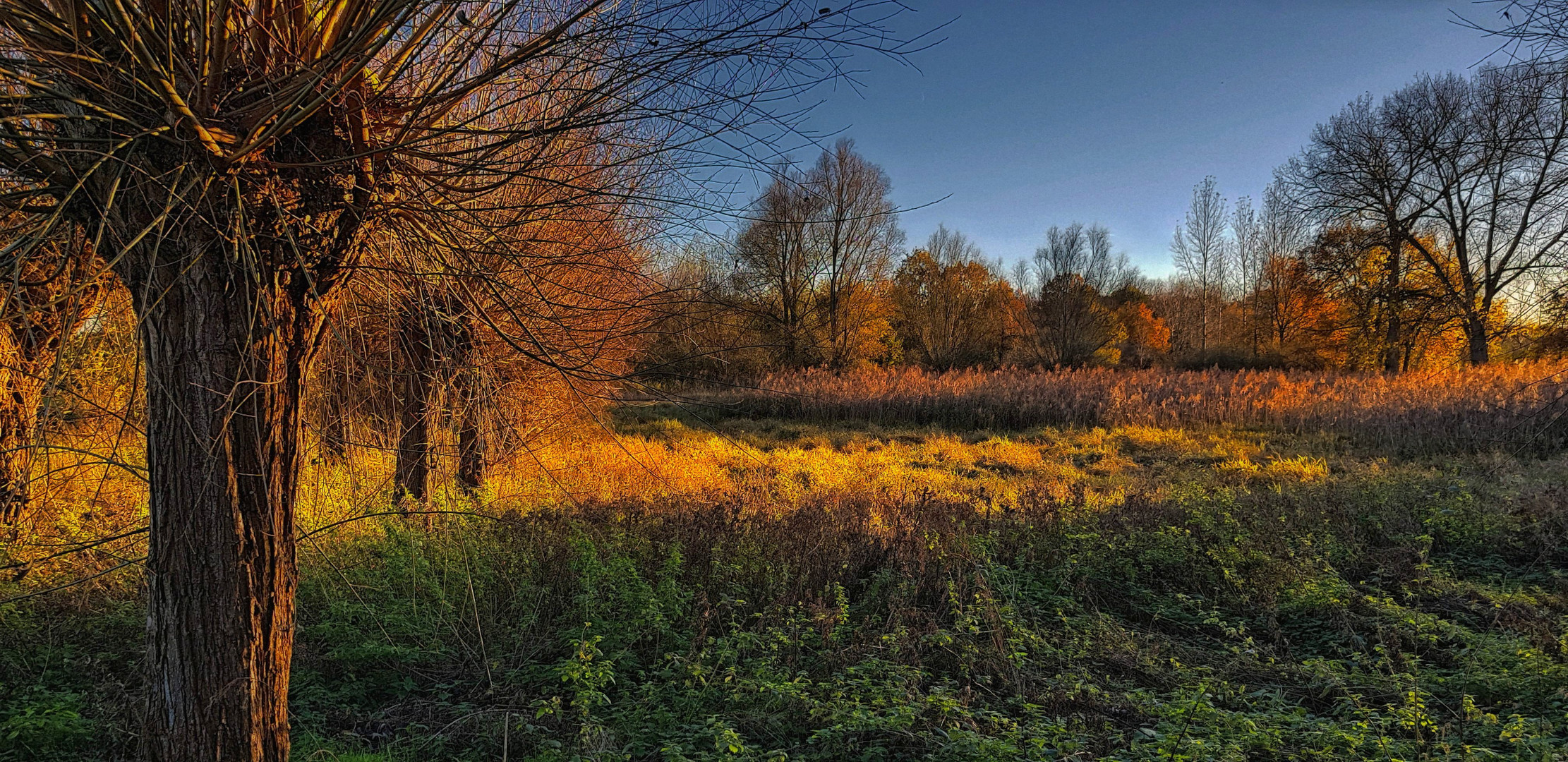 November Abendsonne