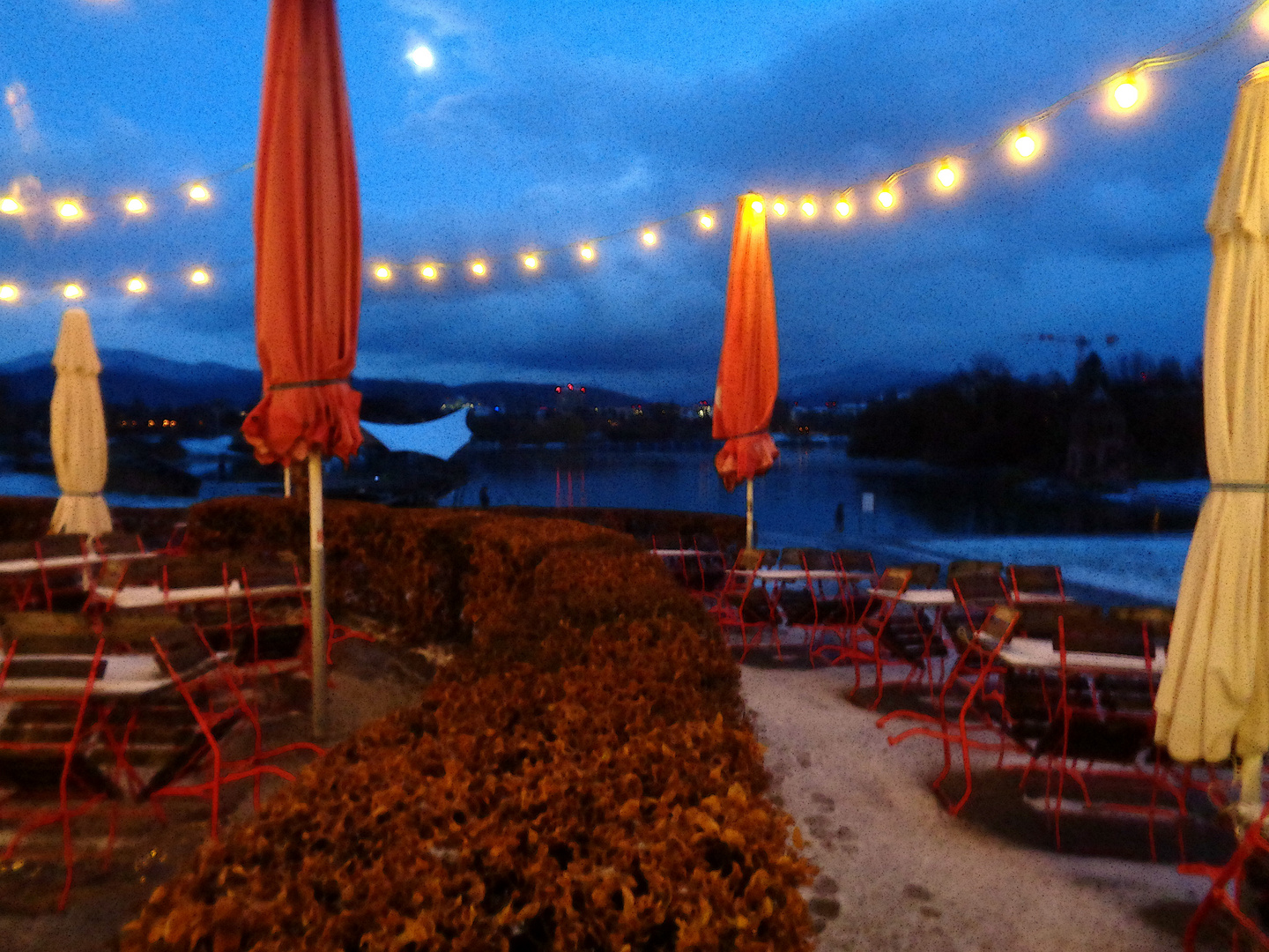 November-Abendstimmung am Seepark in Freiburg i. Br.