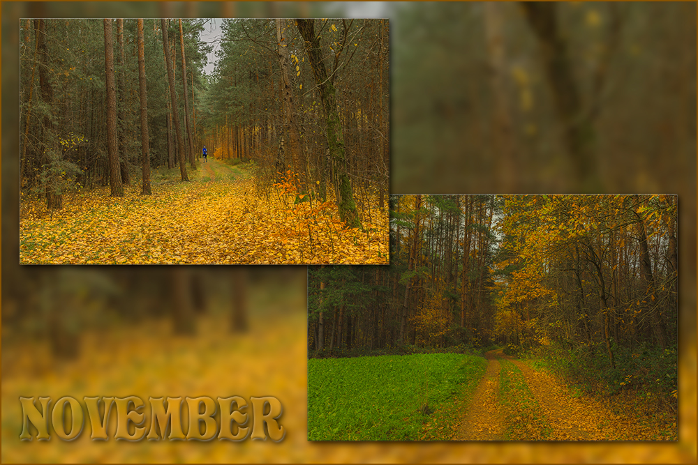 NOVEMBER