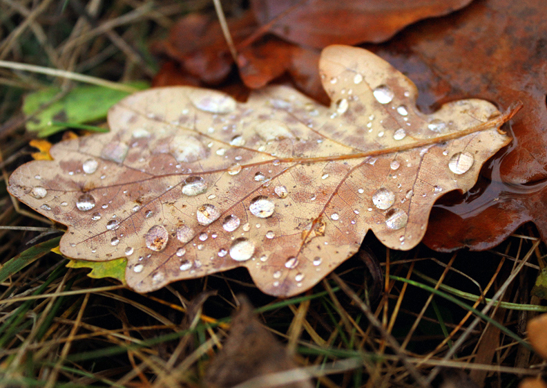 November- äh sorry October rain