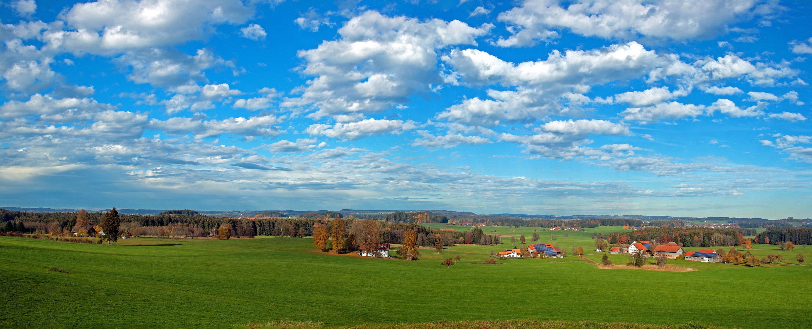 November-Allgäulandschaft bei Kißlegg