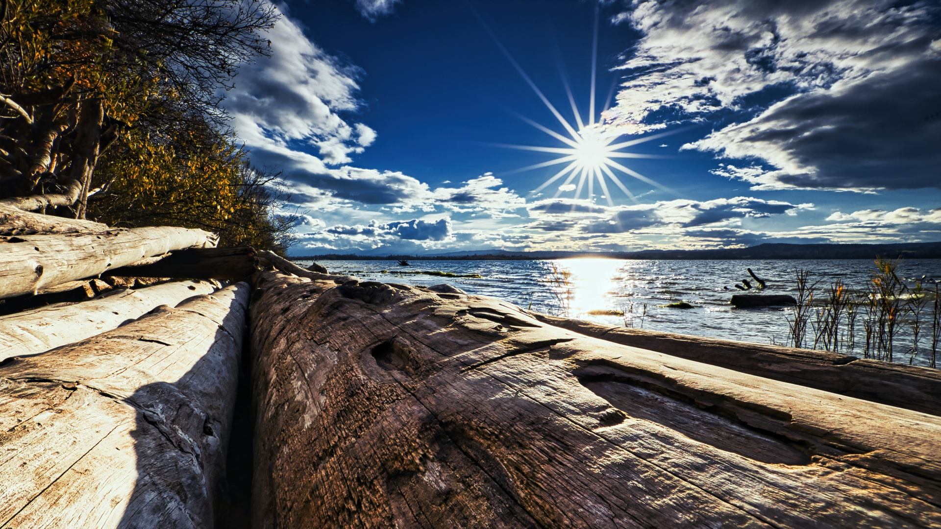 November am Ammersee 02