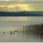 November am Ammersee