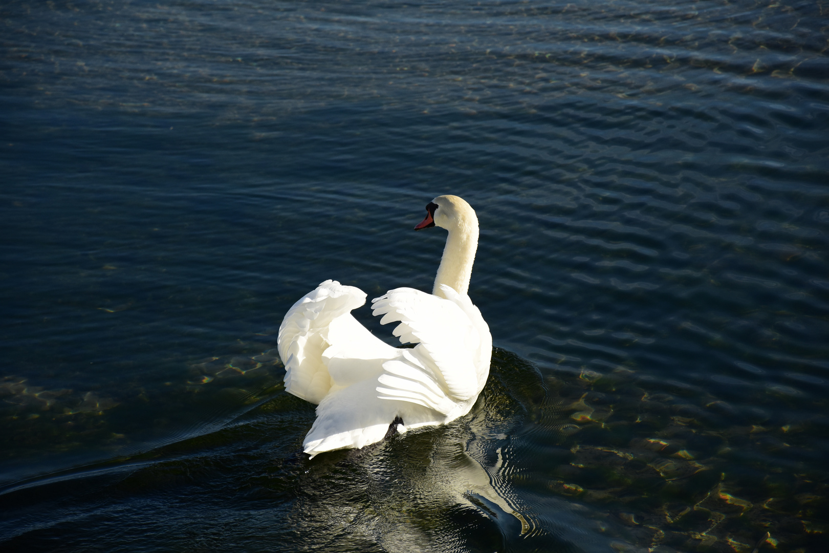 November am Bielersee