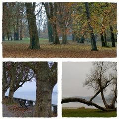 November am Bodensee