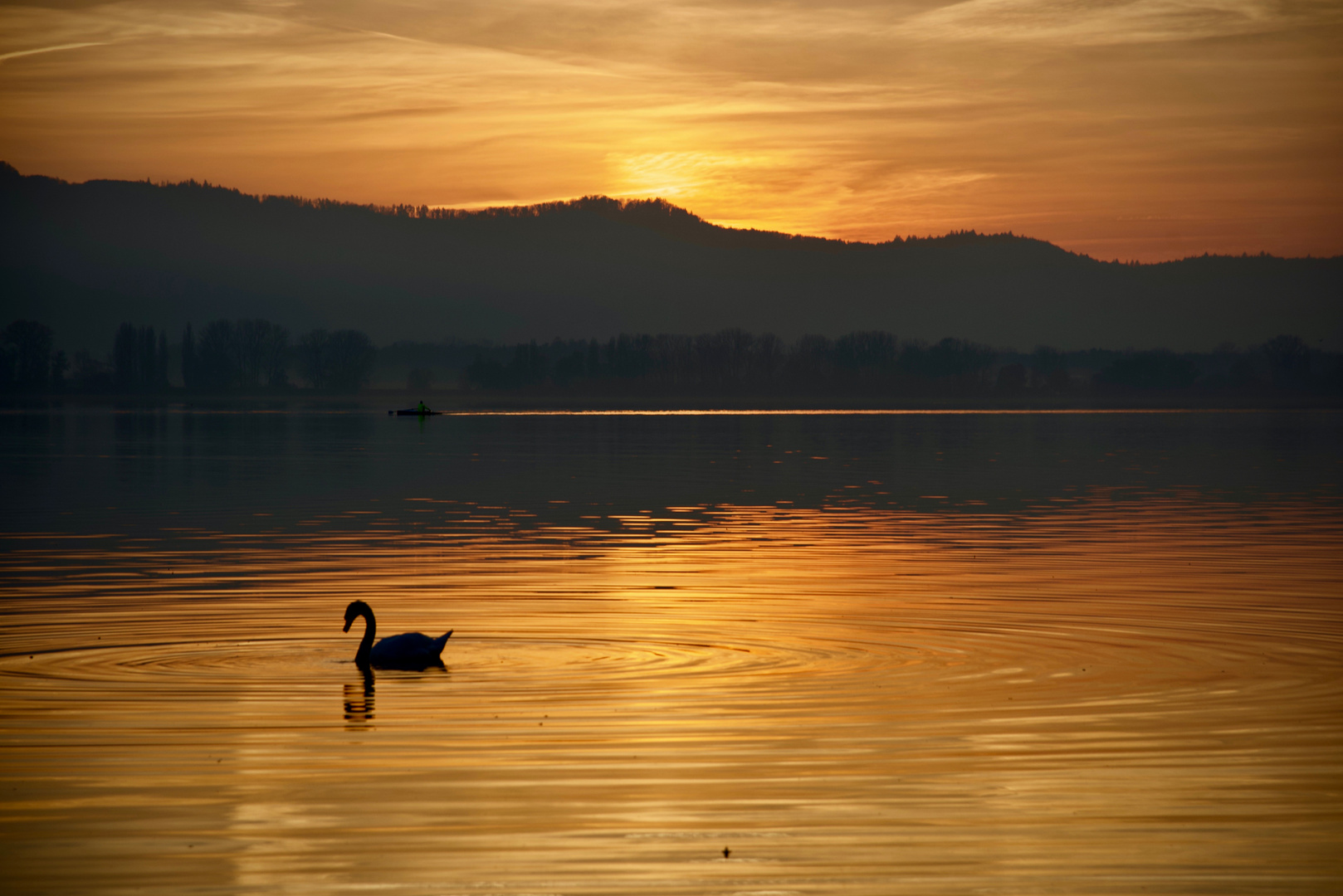 November am Bodensee