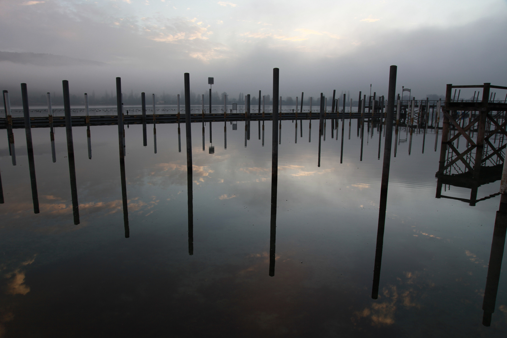 November am Bodensee