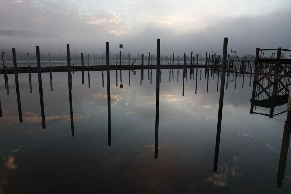 November am Bodensee von Ina P. Krüger 