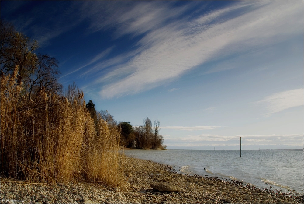 November am Bodensee