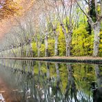 November am Kanal