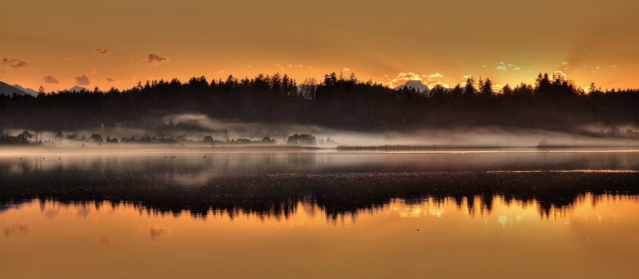 November am Kirchsee  (1)