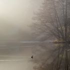 November am Lac - Bergpark Wilhelmshöhe