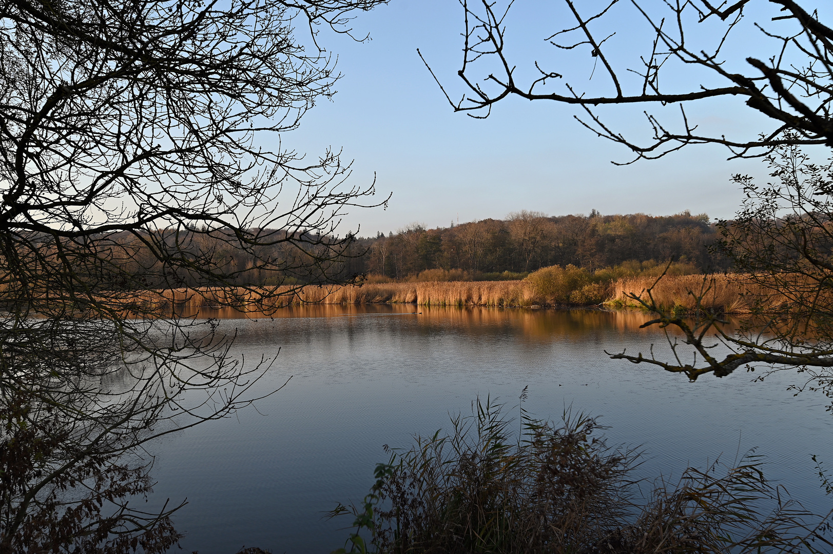 November am Moorsee