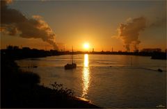 November am Rhein....